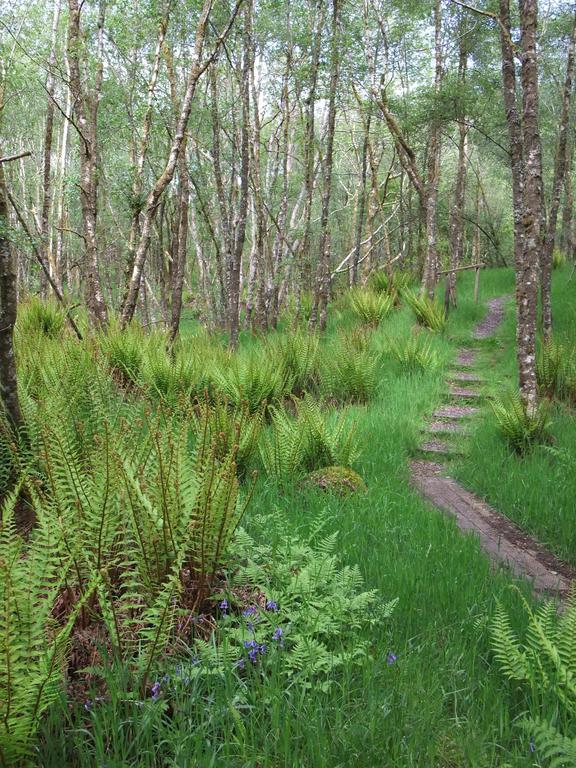 Inverawe Cottages Taynuilt Luaran gambar