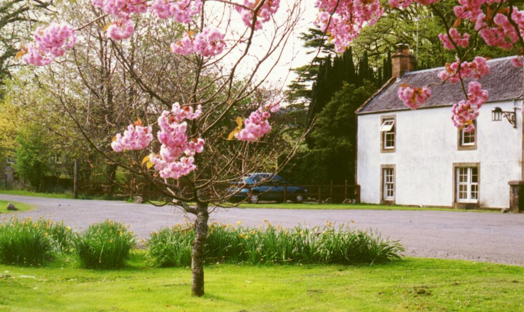 Inverawe Cottages Taynuilt Bilik gambar