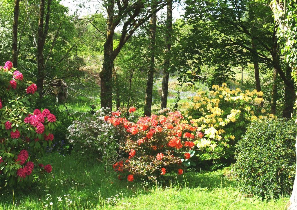 Inverawe Cottages Taynuilt Luaran gambar